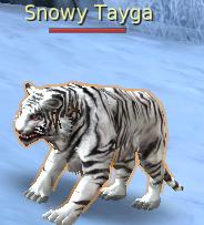 Snow Tayga